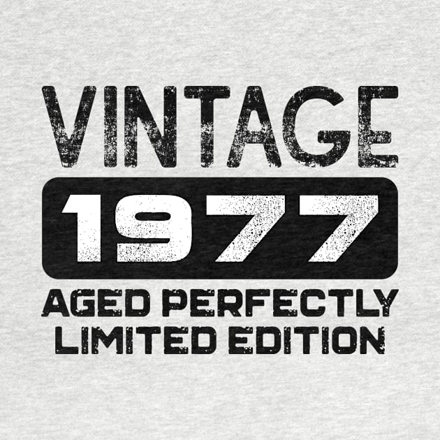 Birthday Gift Vintage 1977 Aged Perfectly by colorsplash